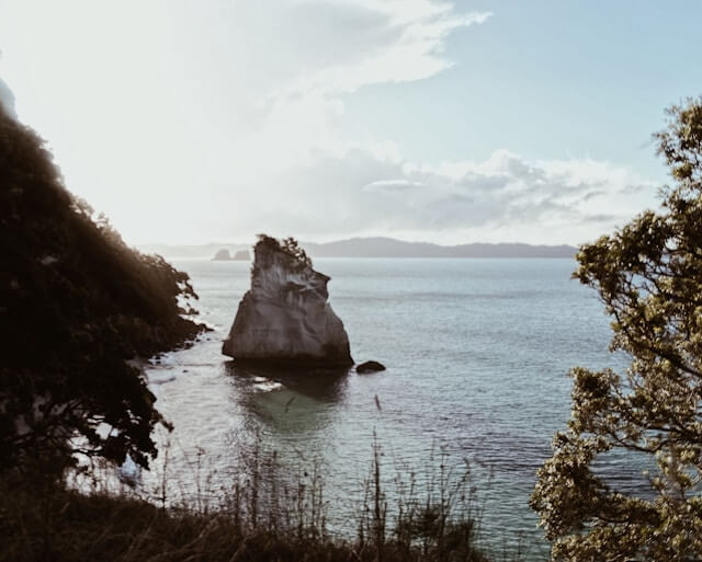 the black sand beaches of the Coromandel Peninsula